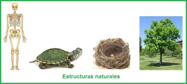 Estructuras_naturales